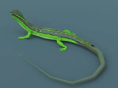 Lizard - Low Poly - Game Ready - PBR - Rigged Low-poly 3D model
