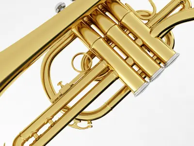 Cornet gold trumpet 3D model