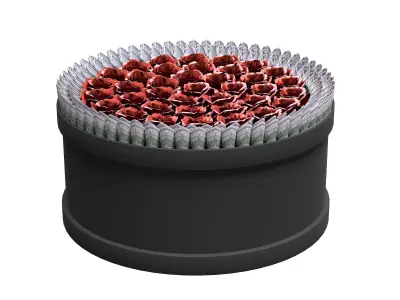 Rose Gift Box with Dollars Low-poly 3D model