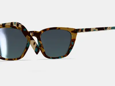Janelle Sunglasses in Seashore Tortoise 3D model