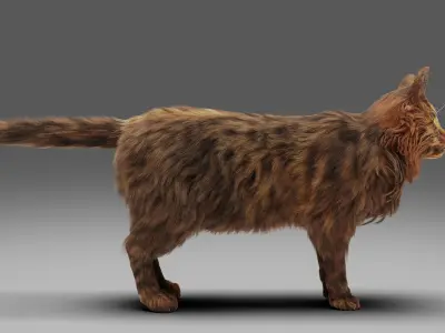 Fur Cat Grey Rigged Low-poly 3D model