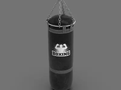 BOXING EQUIPMENT 3D model