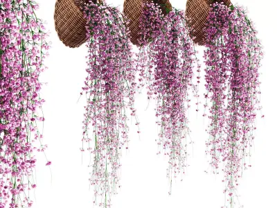 Hanging plants in wicker pots v2 3D model