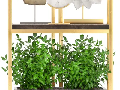 Rack with the decor of figurines and plants 3D model