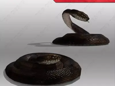 Snake Animated Low-poly 3D model