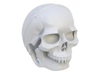 Decorative skull 3D model