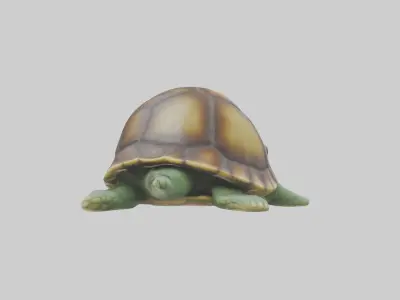 Babyturtle Model 1 Low-poly 3D model