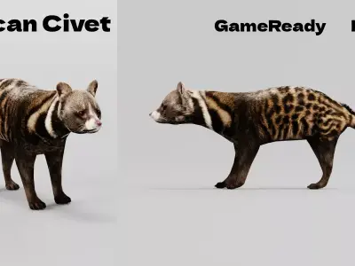 African Civet Cat Low-poly 3D model