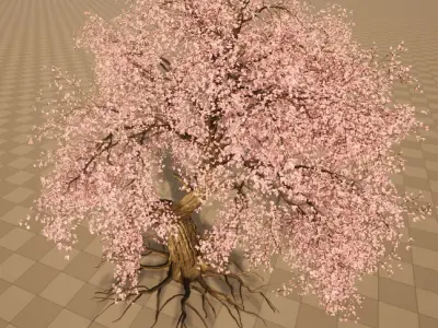 cherry tree Low-poly 3D model
