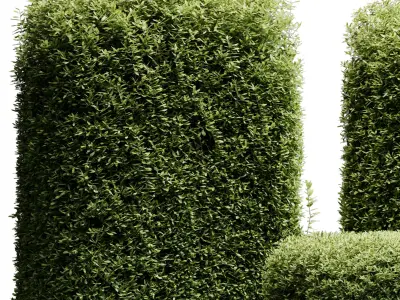 Hedge Cubic and Topiary Bush - outdoor plant set 233  3D model