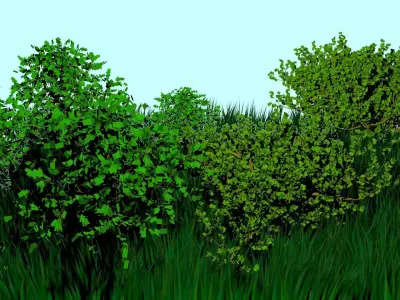 Forest 3D model