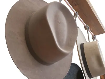 Decorative hat set 3D model