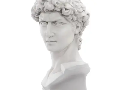 Bust of David Sculpture 3D model