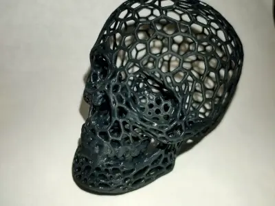 Voronoi Skull  3D print model