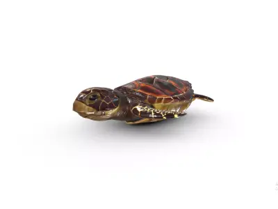 Hawksbill turtle  Low-poly 3D model