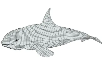 Killer Whale Low-poly 3D model