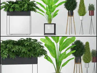 Plants collection 03