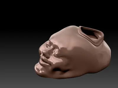 FACE-VASE silver skull 3D print model