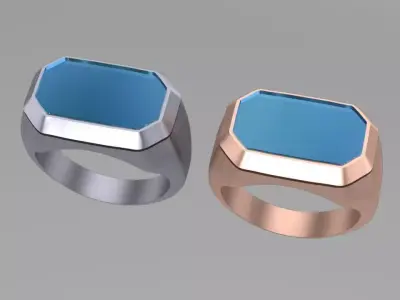 5th Onyx Signet 3D print model