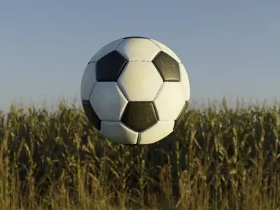 soccer ball 3D model shop