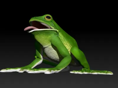 American Tree Frog 3D model