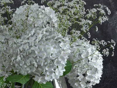 Bouquet of Gypsophila with Hyndrangeas 3D model