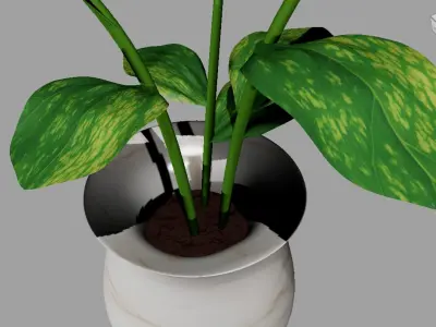 Potted Plant 3D model purchase