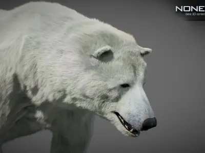 Animated Bears Pack 3D model