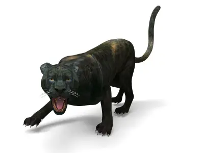 3d Black Panther Rigged Model Low-poly 3D model
