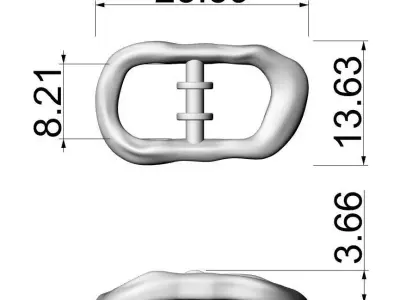 Organic Buckle Elegant Accessory for Luxury Footwear 3D print model