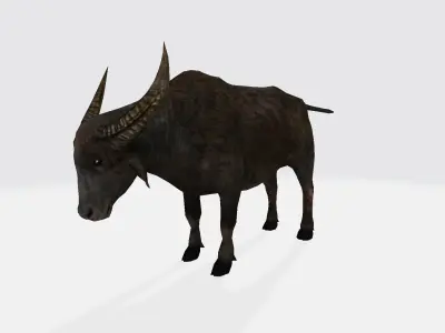 Buffalo animal with long horns 3D model