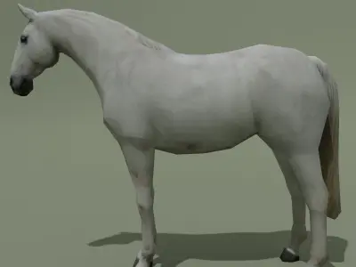 LowPoly Horse D White Grey Low-poly 3D model