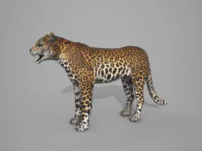 Leapord jaguar 3D model
