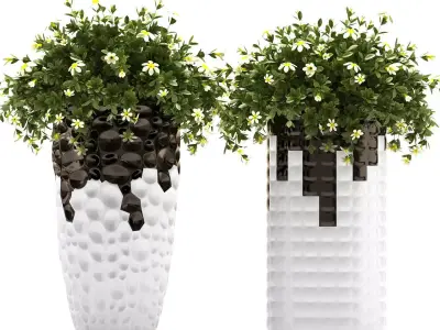 Plants 69 3D model