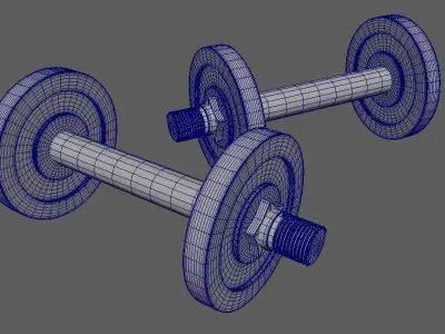 weight pair of dumbbells Free 3D model