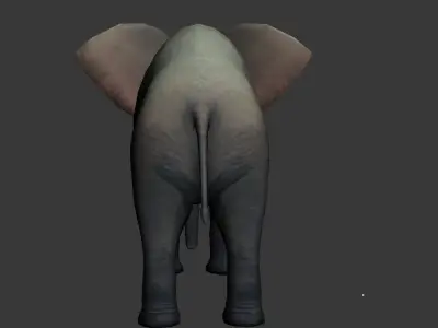 Elephas elephant Low-poly 3D model
