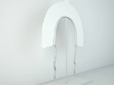 20th Century Brazilian Tribal Feather Headdress 3D model