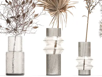 Collection of minimalist bouquets dried flowers pampas vase 323 3D model