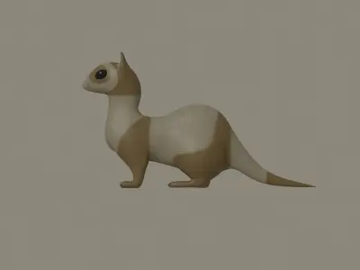 Ferret 3D model
