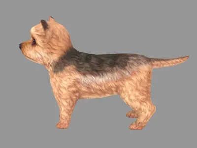 Cartoon pet puppy - Yorkshire - baby dog Low-poly 3D model