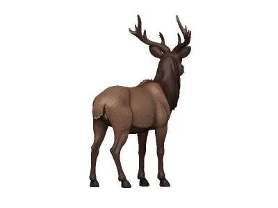 Markhor Low-poly 3D model
