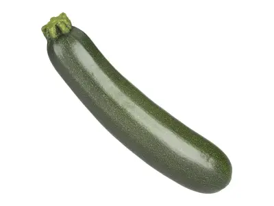Photorealistic Zucchini 3D Scan 3D model