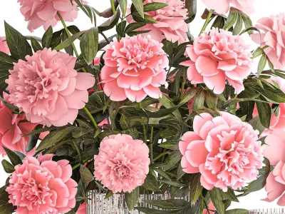 Bouquet of pink peonies flowers in a glass vase 378 3D model