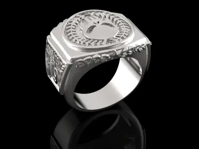 Punisher Police Ring Man 3D Print Model 3D print model