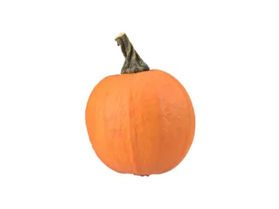 Photorealistic Decorative Gourd 3D Scan 3 3D model
