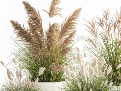 Reeds in a concrete flowerpot for the interior 1094 3D model