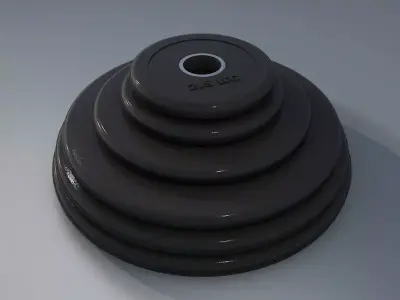 The weight plates for barbell Free low-poly 3D model