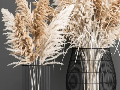 Decorative Bouquet of dried pampas grass 193 3D model