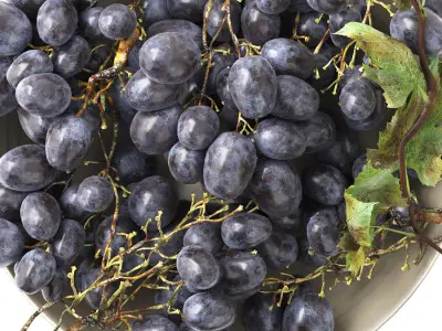 bowl of black grapes fruit 3D model