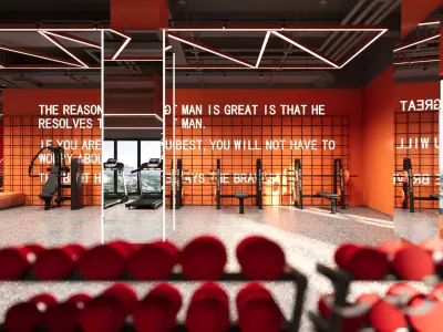 Luxury gym interior 3D model 3D model